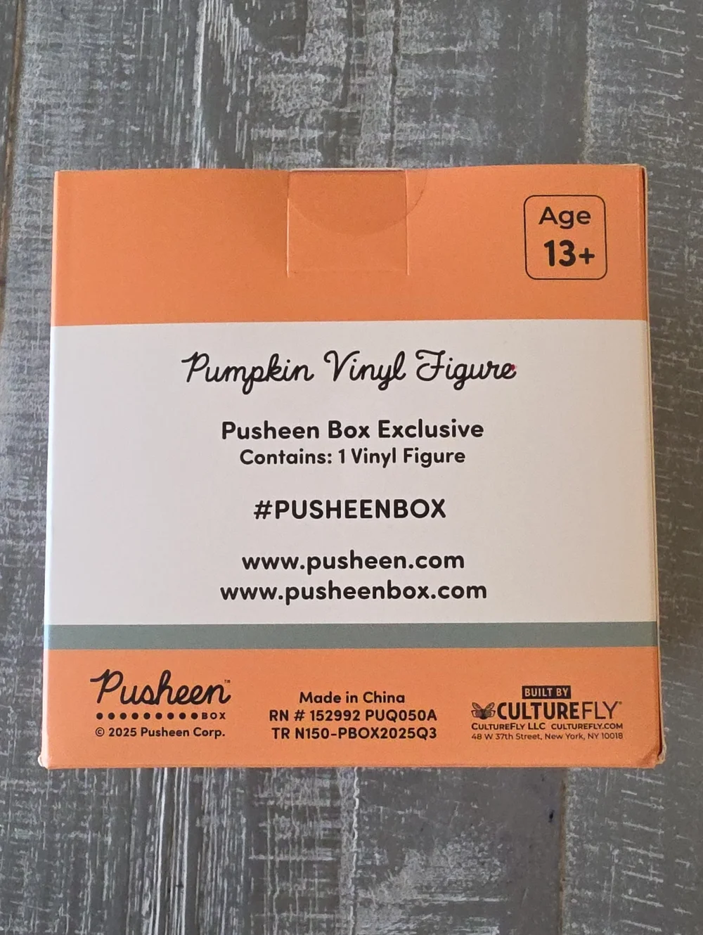 Pusheen Pumpkin Vinyl Figure, Limited Edition Fall 2025 Box, Halloween Cat
